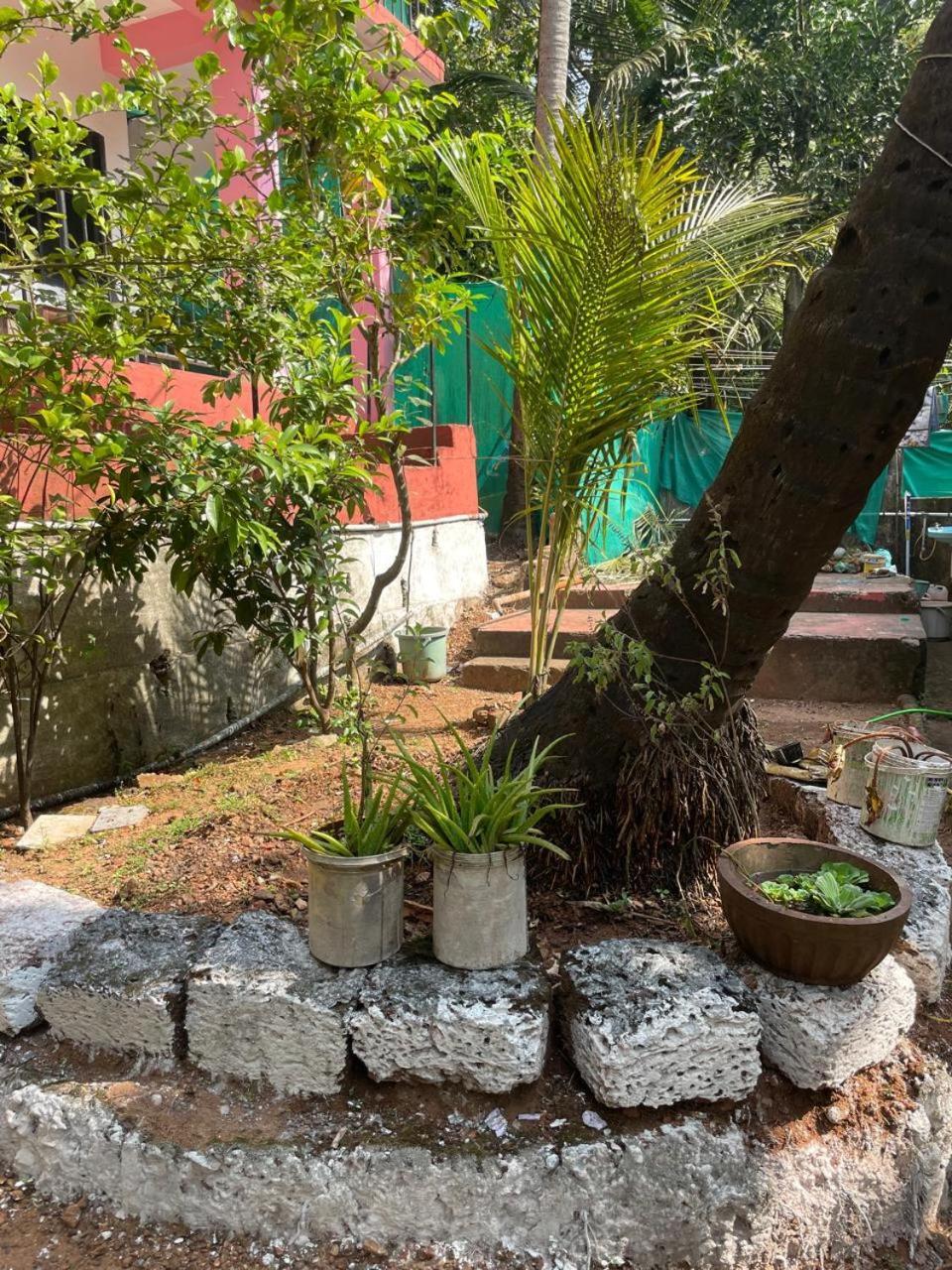 Hostel Pogo's Mountain House - A Part Of The 12 Monks Family Arambol